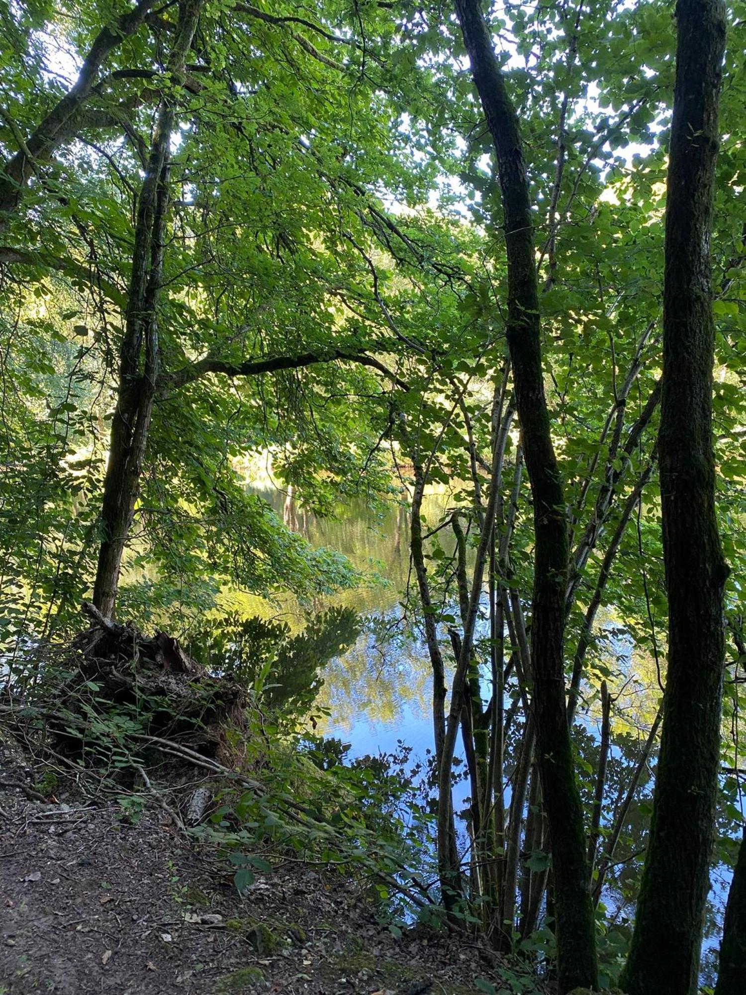 Ferienhaus Vulkaneifel Abtei Himmerod Großlittgen Εξωτερικό φωτογραφία