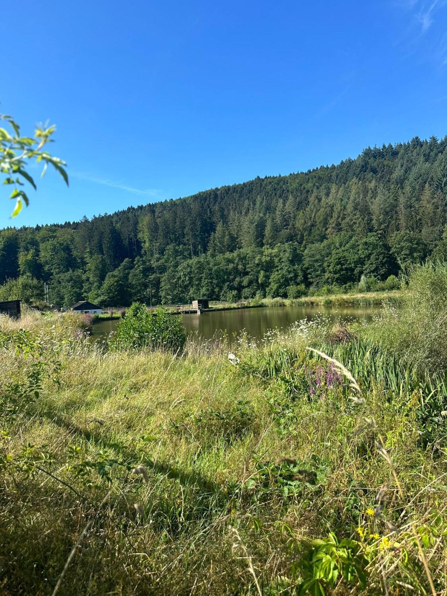 Ferienhaus Vulkaneifel Abtei Himmerod Großlittgen Εξωτερικό φωτογραφία