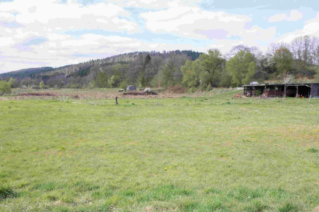 Ferienhaus Vulkaneifel Abtei Himmerod Großlittgen Εξωτερικό φωτογραφία